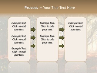 Branch Gold Ground PowerPoint Template