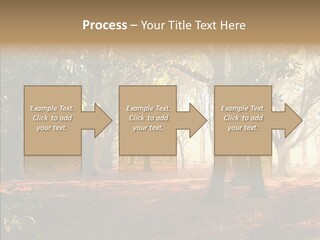 Branch Gold Ground PowerPoint Template