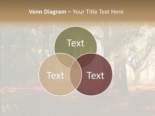 Branch Gold Ground PowerPoint Template