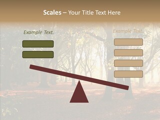 Branch Gold Ground PowerPoint Template