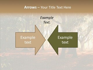 Branch Gold Ground PowerPoint Template