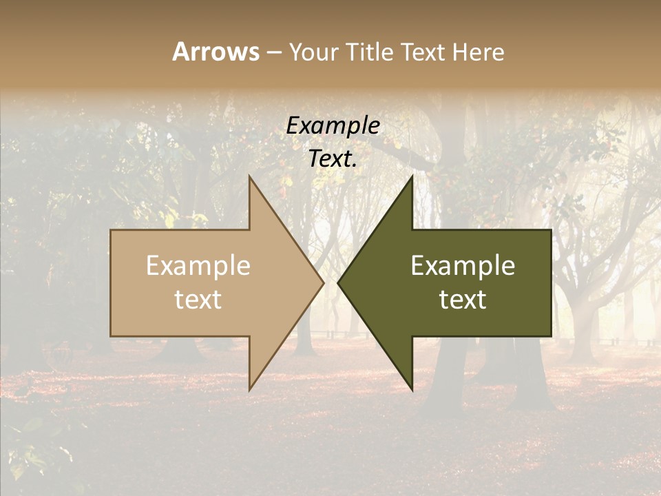 Branch Gold Ground PowerPoint Template