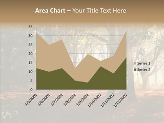 Branch Gold Ground PowerPoint Template
