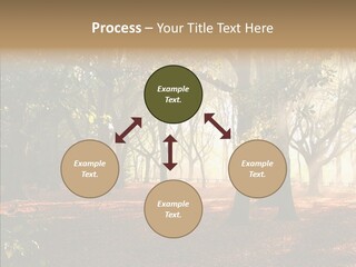 Branch Gold Ground PowerPoint Template