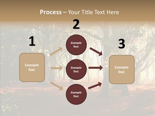 Branch Gold Ground PowerPoint Template