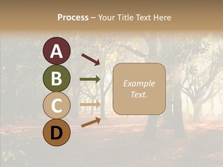 Branch Gold Ground PowerPoint Template