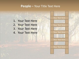 Branch Gold Ground PowerPoint Template