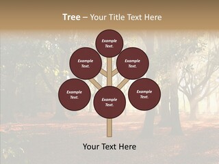 Branch Gold Ground PowerPoint Template