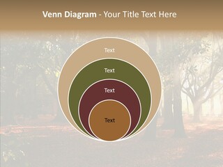Branch Gold Ground PowerPoint Template