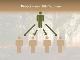 Branch Gold Ground PowerPoint Template