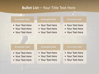 Fashion Color Move PowerPoint Template