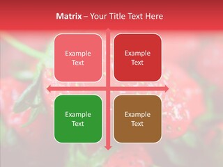 Corporate Humor Toon PowerPoint Template