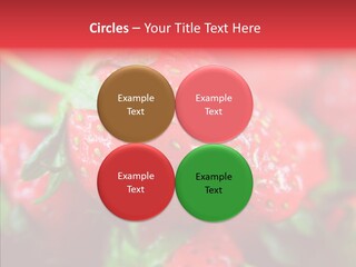 Corporate Humor Toon PowerPoint Template