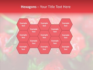 Corporate Humor Toon PowerPoint Template