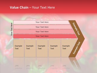 Corporate Humor Toon PowerPoint Template