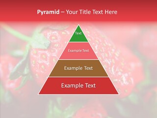 Corporate Humor Toon PowerPoint Template