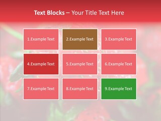 Corporate Humor Toon PowerPoint Template