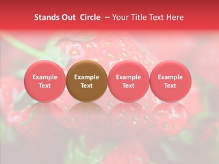 Corporate Humor Toon PowerPoint Template