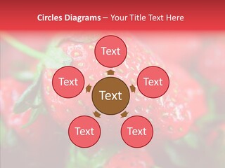 Corporate Humor Toon PowerPoint Template