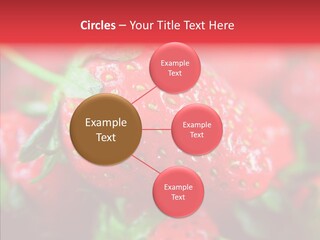 Corporate Humor Toon PowerPoint Template