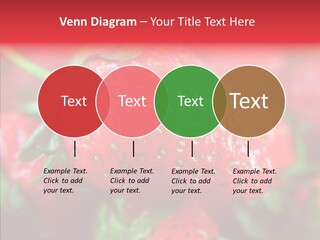 Corporate Humor Toon PowerPoint Template