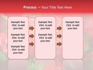 Corporate Humor Toon PowerPoint Template