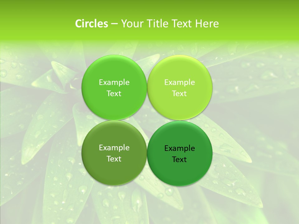 Blades Farm Clean PowerPoint Template