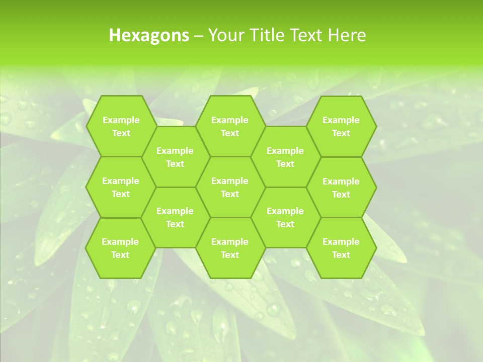 Blades Farm Clean PowerPoint Template