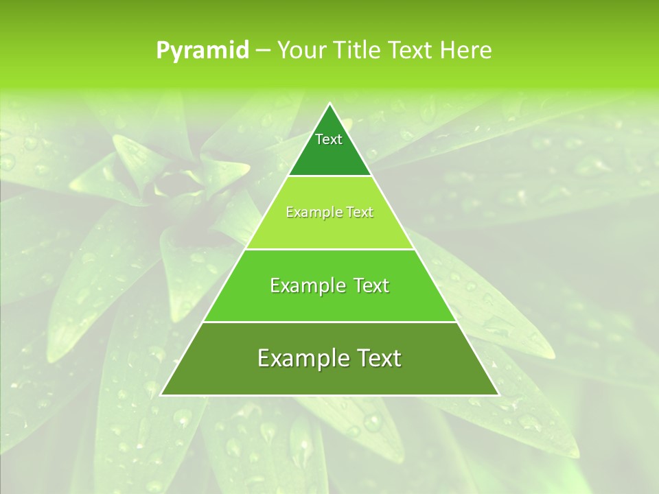Blades Farm Clean PowerPoint Template