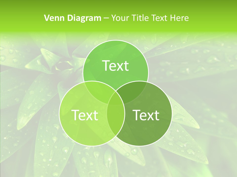 Blades Farm Clean PowerPoint Template