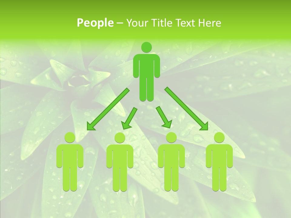 Blades Farm Clean PowerPoint Template