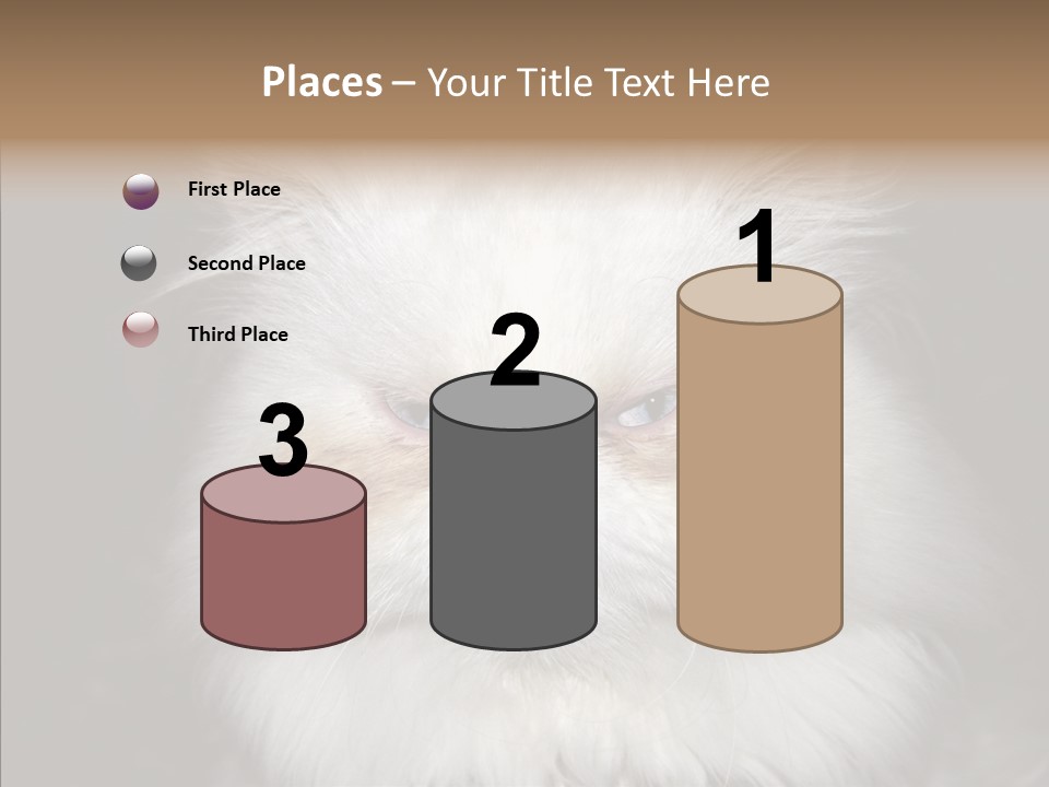 Fur Animal Felin PowerPoint Template