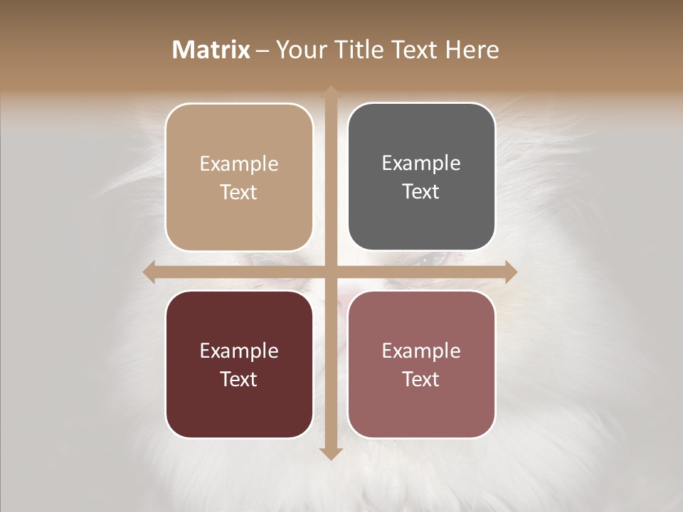 Fur Animal Felin PowerPoint Template