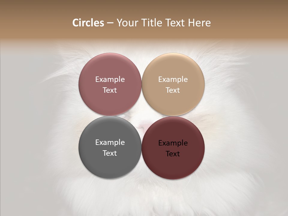 Fur Animal Felin PowerPoint Template