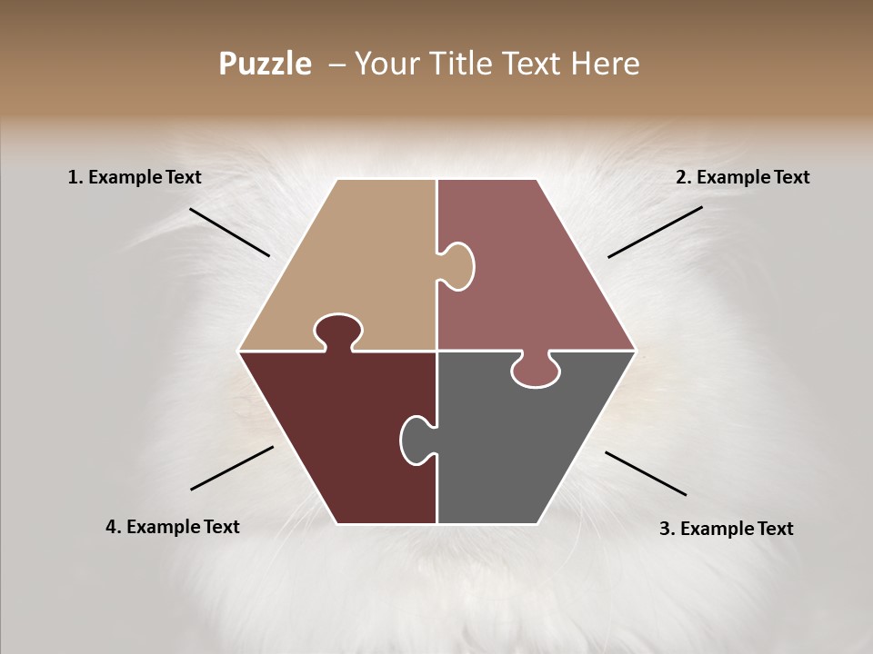 Fur Animal Felin PowerPoint Template