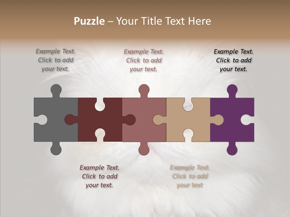 Fur Animal Felin PowerPoint Template