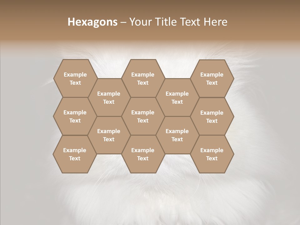 Fur Animal Felin PowerPoint Template