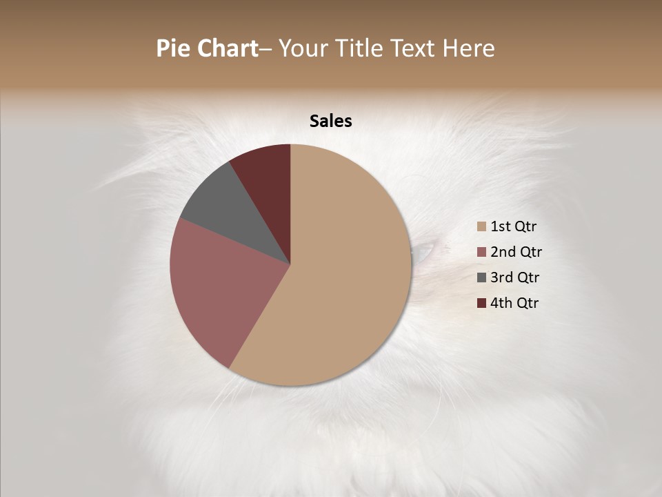 Fur Animal Felin PowerPoint Template