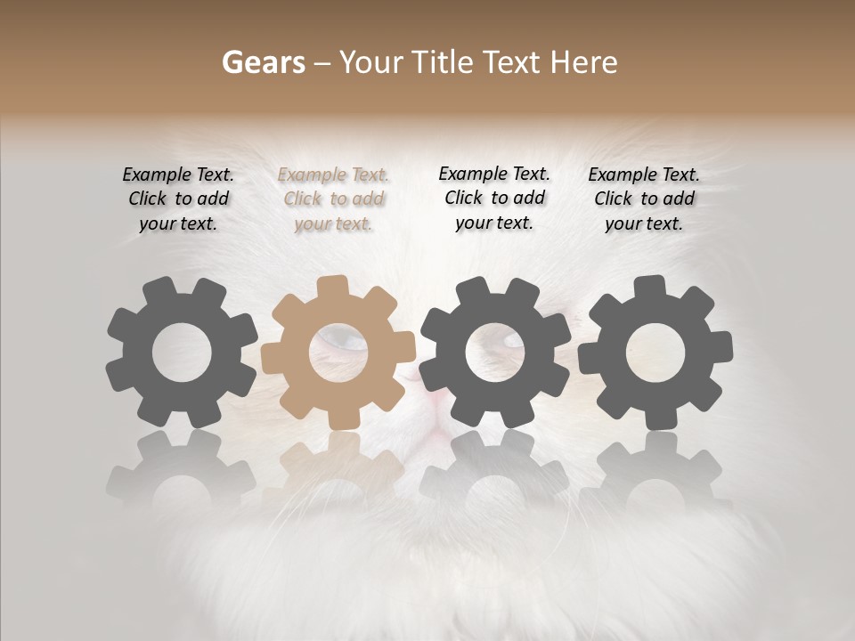 Fur Animal Felin PowerPoint Template