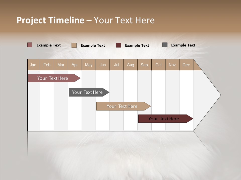 Fur Animal Felin PowerPoint Template