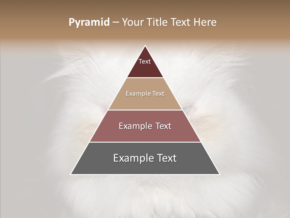 Fur Animal Felin PowerPoint Template