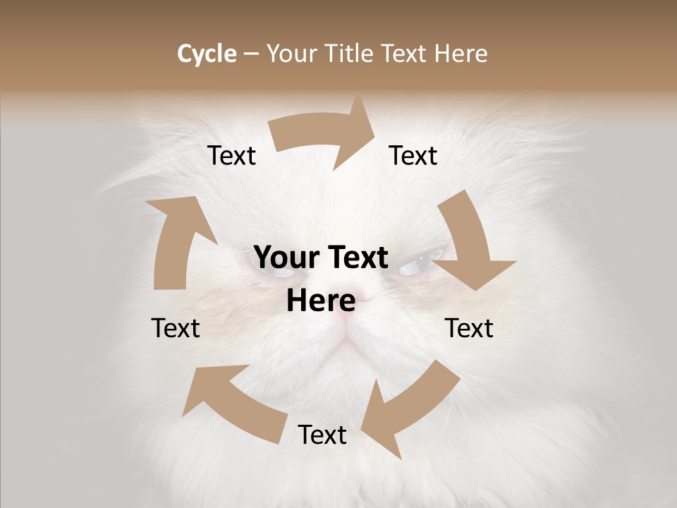 Fur Animal Felin PowerPoint Template