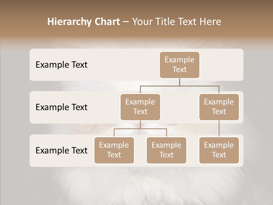 Fur Animal Felin PowerPoint Template