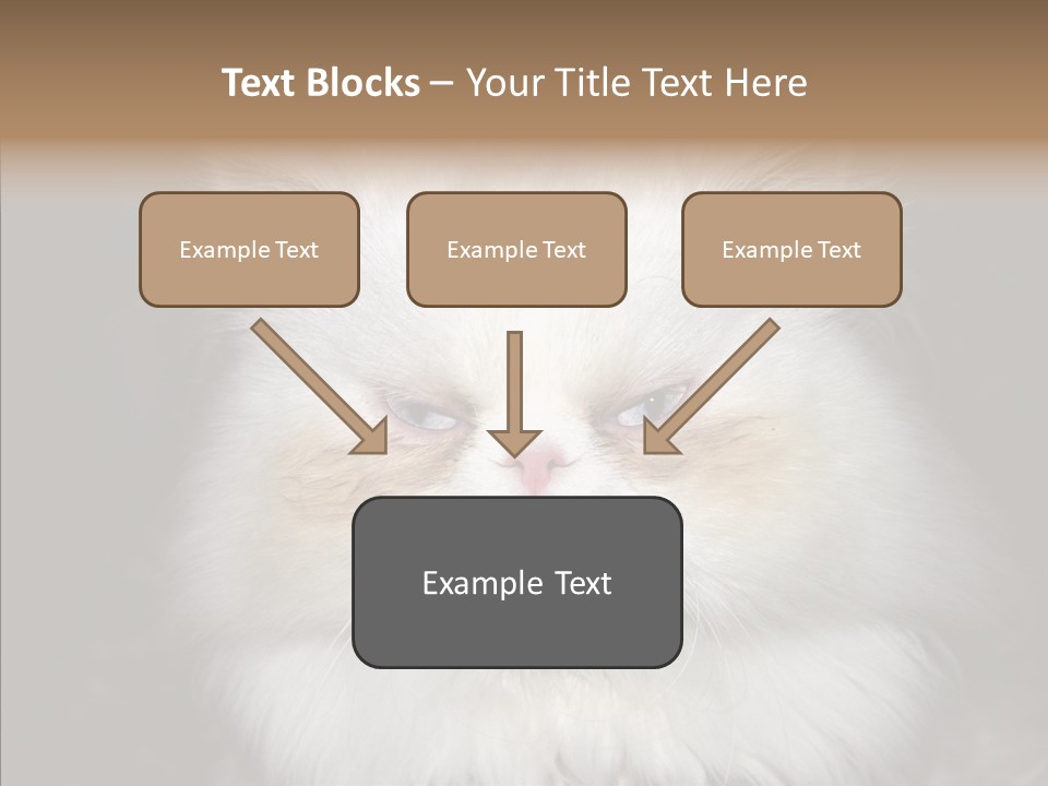 Fur Animal Felin PowerPoint Template