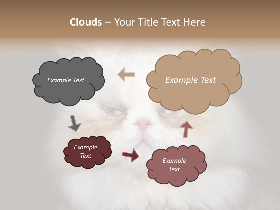 Fur Animal Felin PowerPoint Template