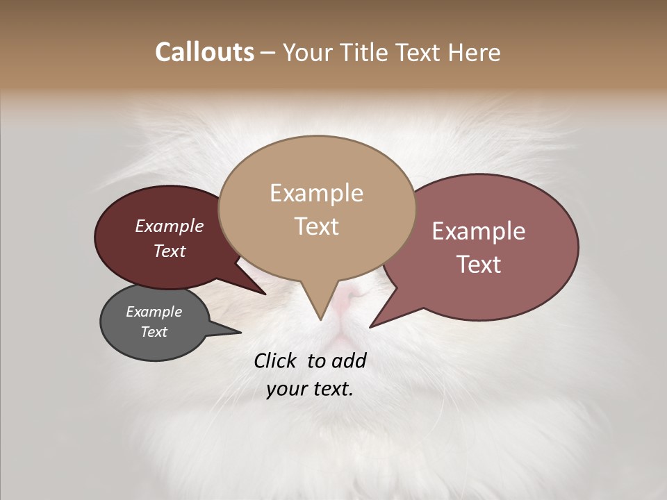 Fur Animal Felin PowerPoint Template