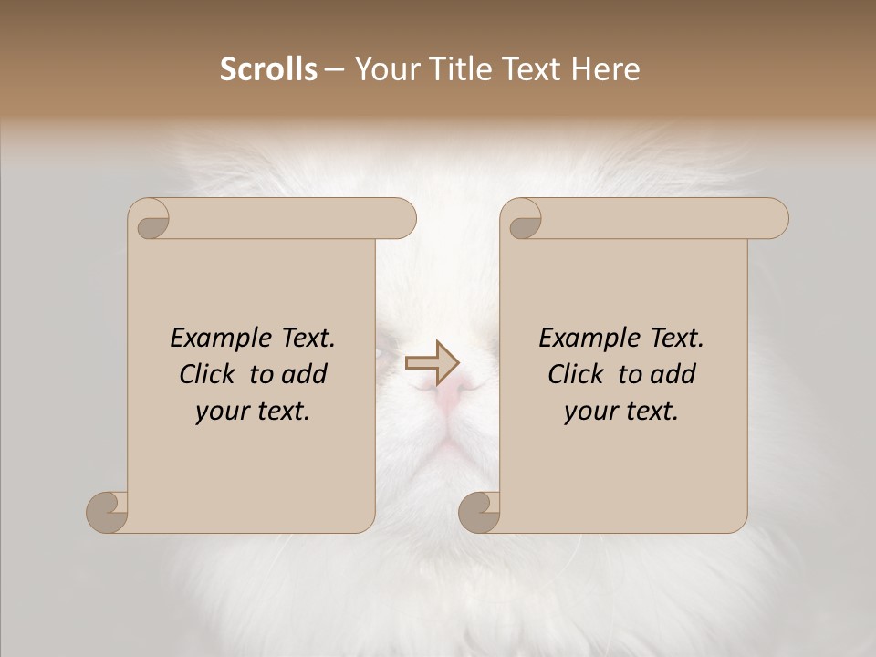 Fur Animal Felin PowerPoint Template