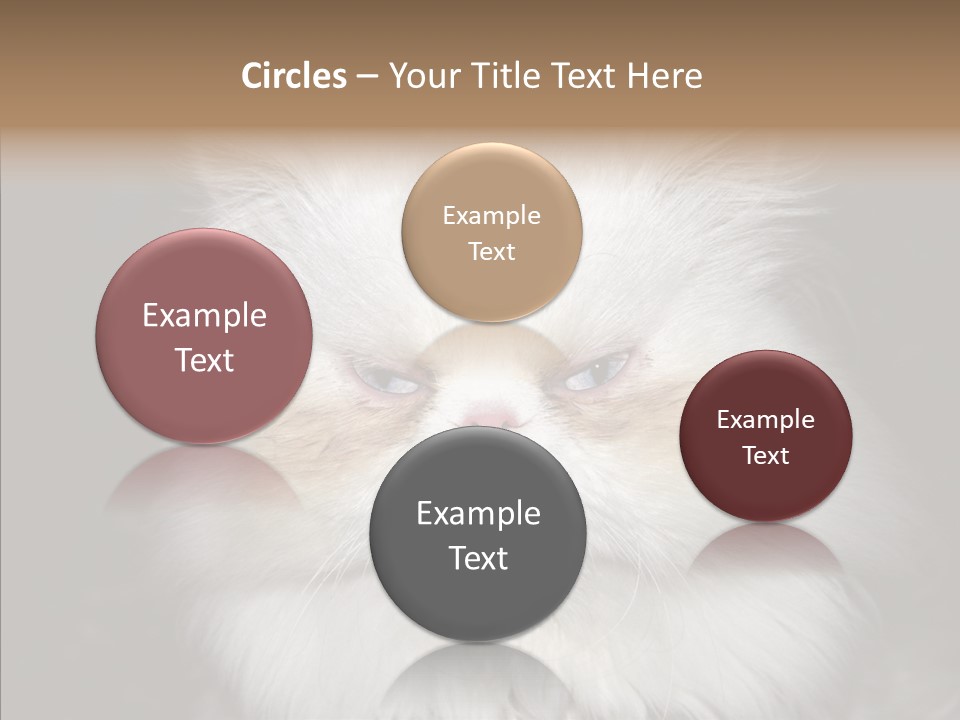 Fur Animal Felin PowerPoint Template