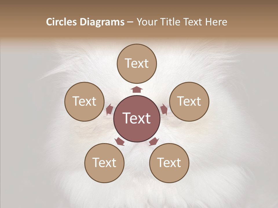 Fur Animal Felin PowerPoint Template