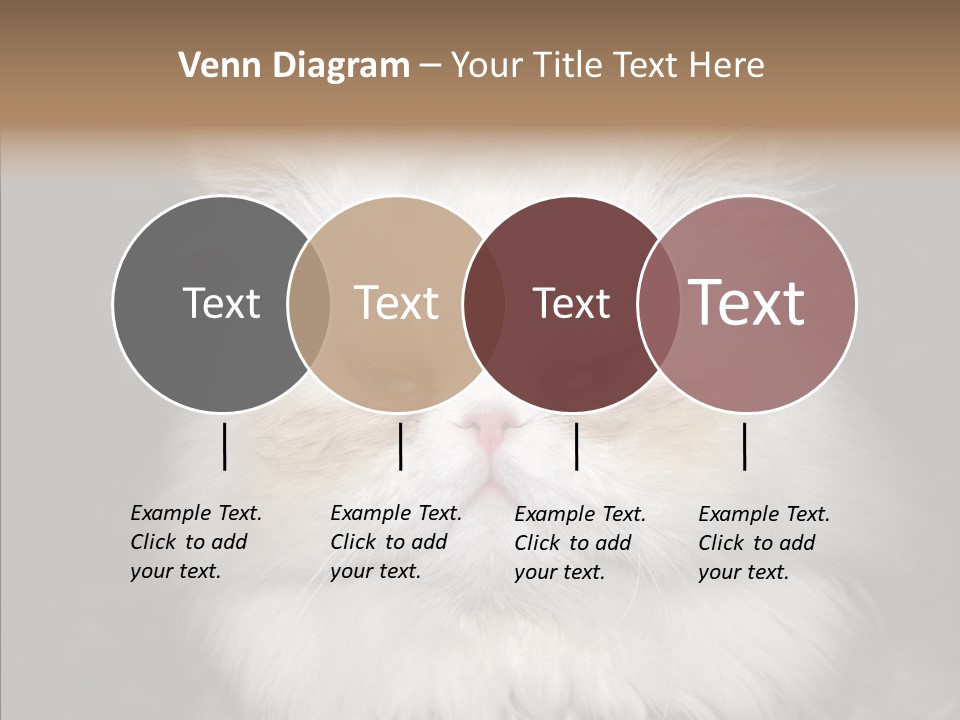 Fur Animal Felin PowerPoint Template